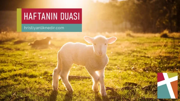 28Subat2024-1920×1080